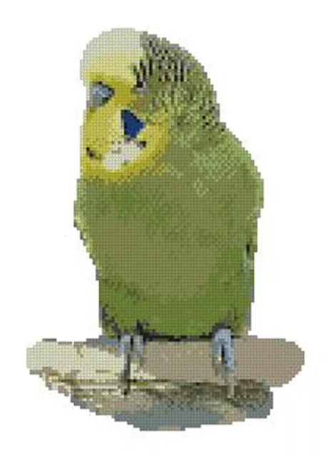 Green Budgie Counted Cross Stitch Kit 10.5" x 7.75"  B2318