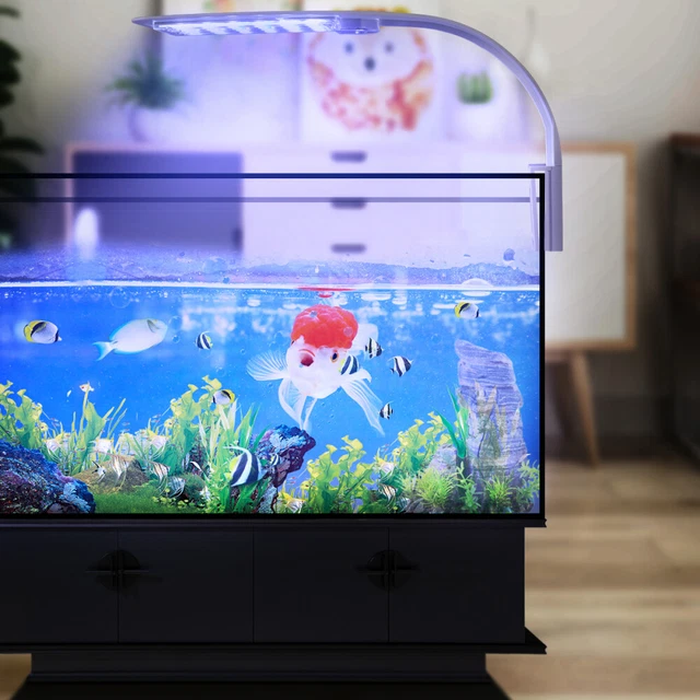 Lámpara creativa con clip para luz LED para acuario plantas de crecimiento con UE