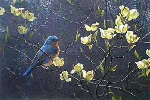 Robert Bateman Bluebird And Blossoms Prestige Edition with Original Lithograph