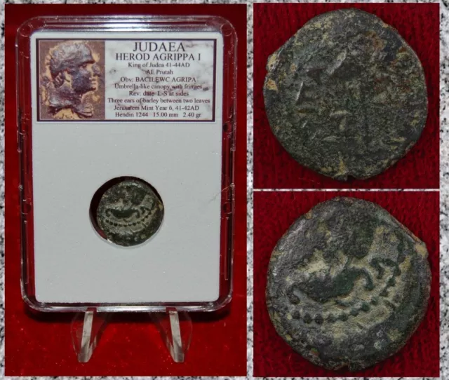 Ancient Coin JUDAEA Prutah HEROD AGRIPPA I Jerusalem Mint Appointed By Caligula