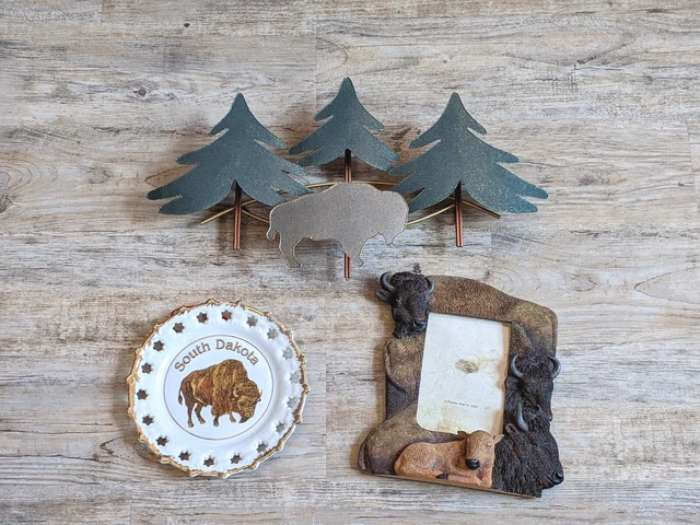 Buffalo "Grab Bag": Metal Hanging Piece, Picture Frame, & South Dakota Plate
