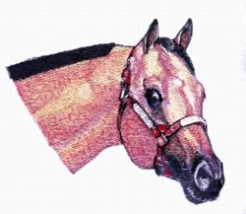 Embroidered Ladies T-Shirt - Buckskin Horse BT3995 Sizes S - XXL