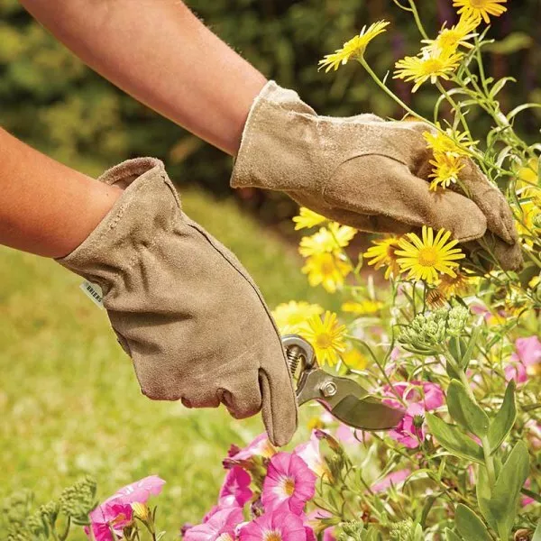 Briers Thorn Resistant Premium Olive Gardener Gloves Size Medium Or Large