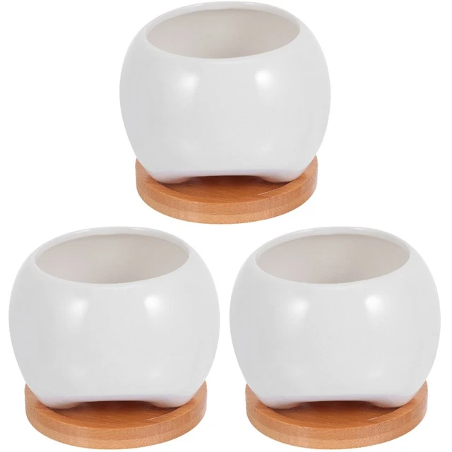 3 stücke Mini sukkulenten Blumentopf Kreative Keramik Pflanzertopf mit