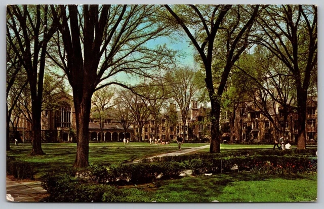 Cook Law Quadrangle University Michigan Ann Arbor School Campus WOB VNG Postcard