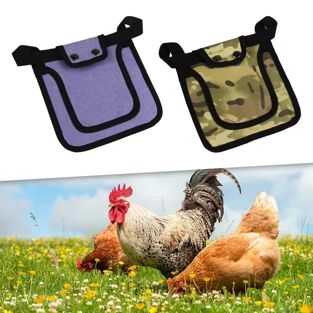 Chicken, Hen Apron, Sweater, Clothes, Hen Saddle for Little Chicken