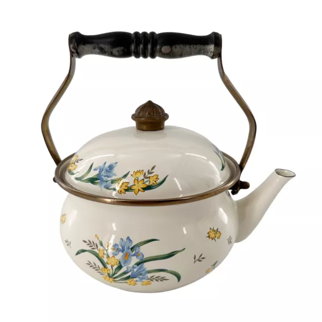 https://www.picclickimg.com/0PEAAOSwlx1lLyeK/Vintage-ASTA-ENAMELWARE-TEA-KETTLE-Floral-Teapot-W.webp