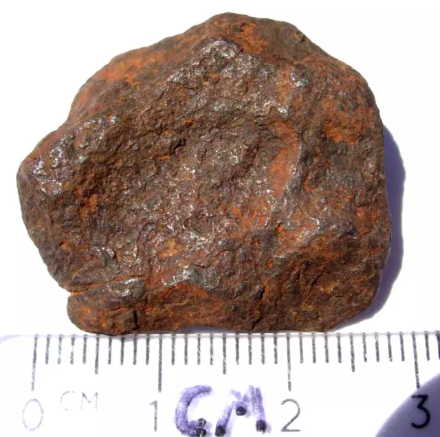 15.3 grams cleaned Canyon Diablo Meteor Crater Iron Meteorite from Arizona + COA
