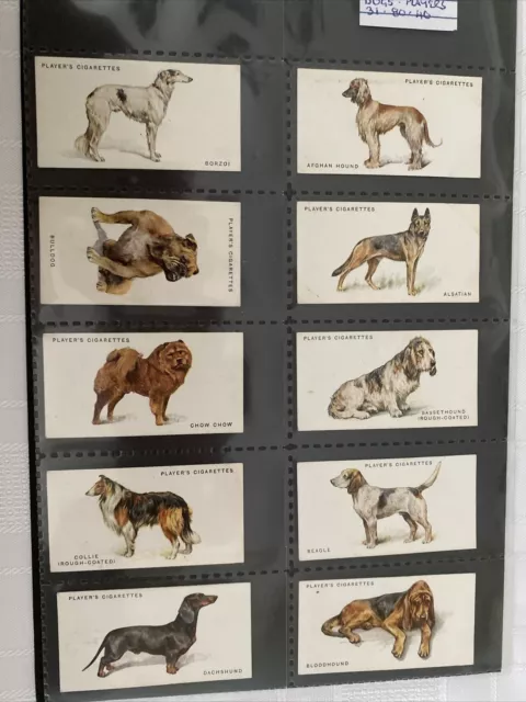Players-Full Set- Dogs By Wardle 1931 (Full Length 50 Cards) Excellent+++