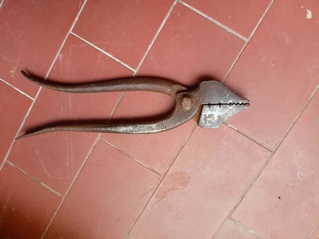 Vechia Pinza