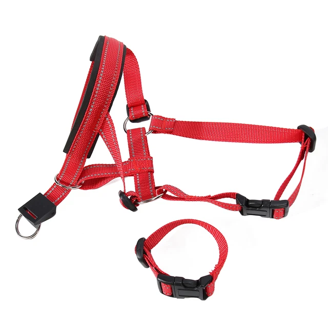(M) Collare Testa Animale Muso Nylon Regolabile Imbottito Ponte Naso Traspirante Prevenzione