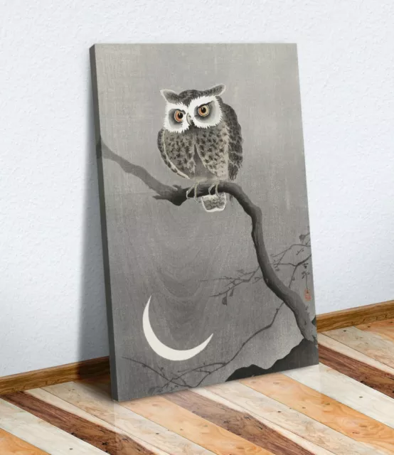 Cool Owl Canvas Wall Art Picture Print Artwork Kids Bedroom Japanese
