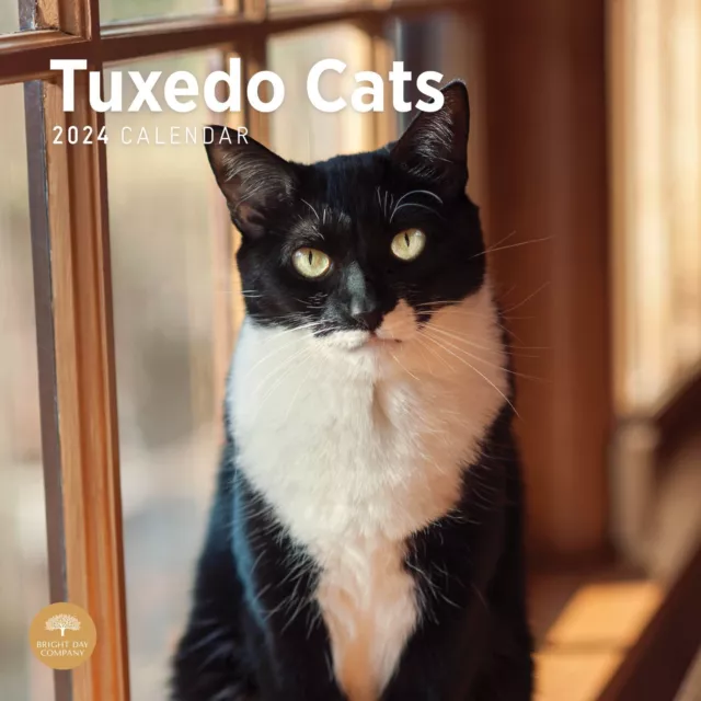 BRIGHT DAY CALENDARS, Tuxedo Cats 2024 Wall Calendar 15.47 PicClick