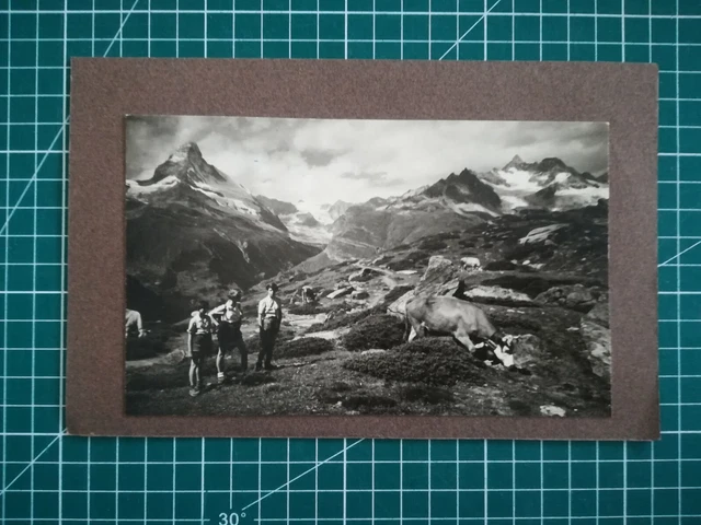 DD113 lot 2 PHOTOS TBE circa 1950 17x10 cm child family in the mountains
