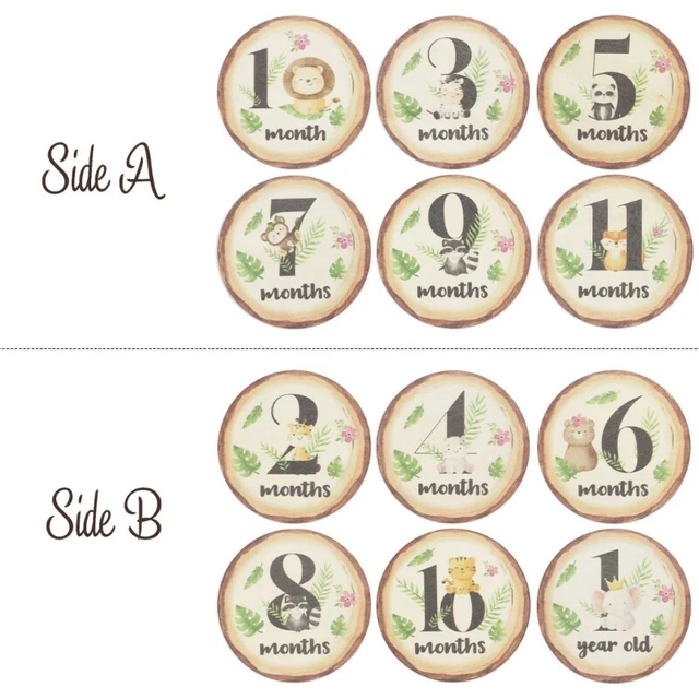 6-piece Wood Baby Monthly Cards Wood Discs Photography Props