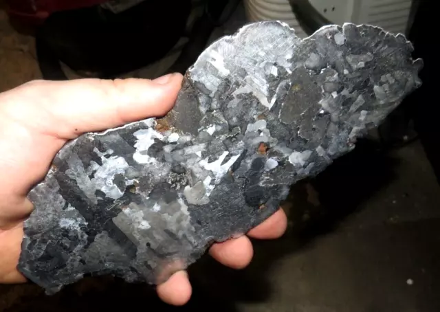 Beautiful 502 Gm Campo Del Cielo Etched Meteorite Slab!!!