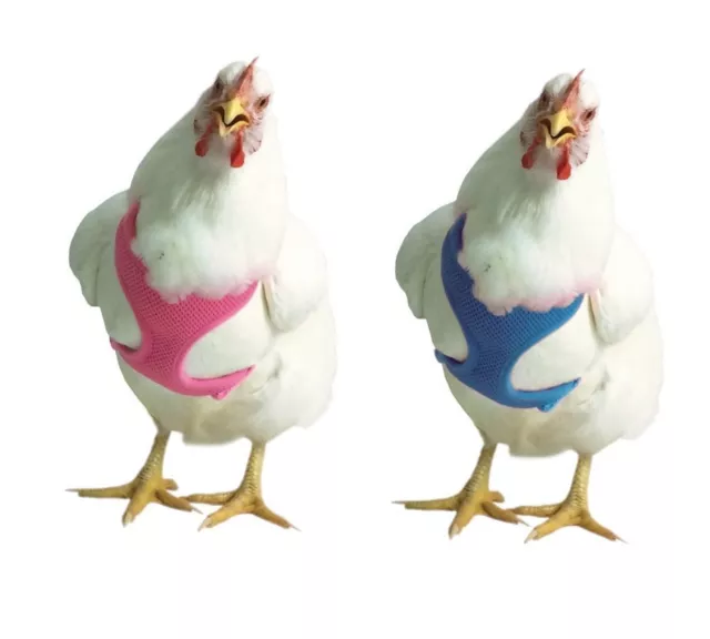 Chicken Harness for chickens ducks & geese XS - M award winner - 5 colors