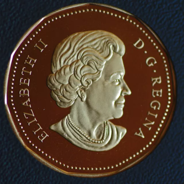 2005 Canada Classic design Loonie from double dollar set -  proof finish 2