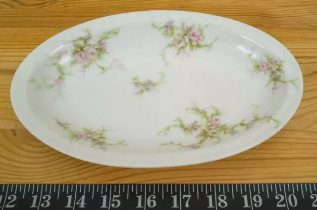 Klassisch Theodore Haviland Limoges Porzellan 9 " Oval Servier Platte Hk