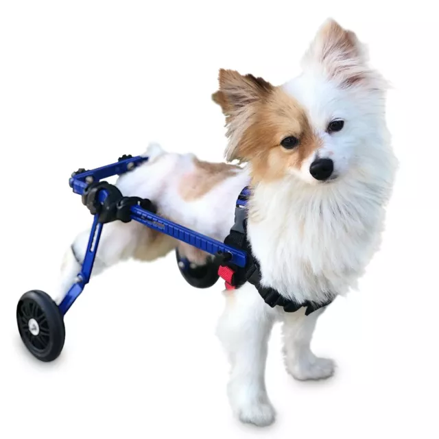 Dog Wheelchair Extra Small For Mini/Toy Breeds Up to 10 lbs - By Walkin' Wheels