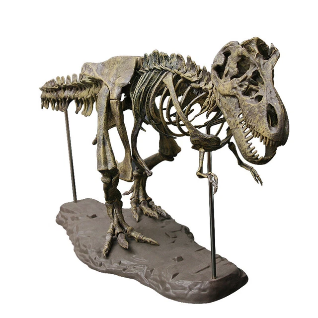 Animal Model T Rex Tyrannosaurus Rex Skeleton Dinosaur Toy Collector Decor Gift