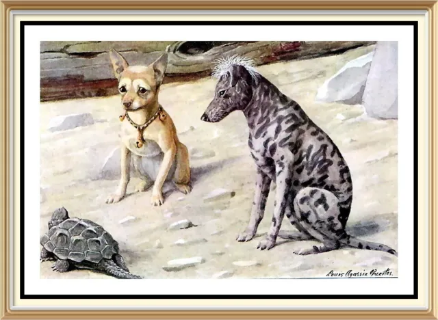 Art Print Louis Agassiz Fuertes TURTLE Watched Mexican Breed Toy Dog CHIHUAHUA