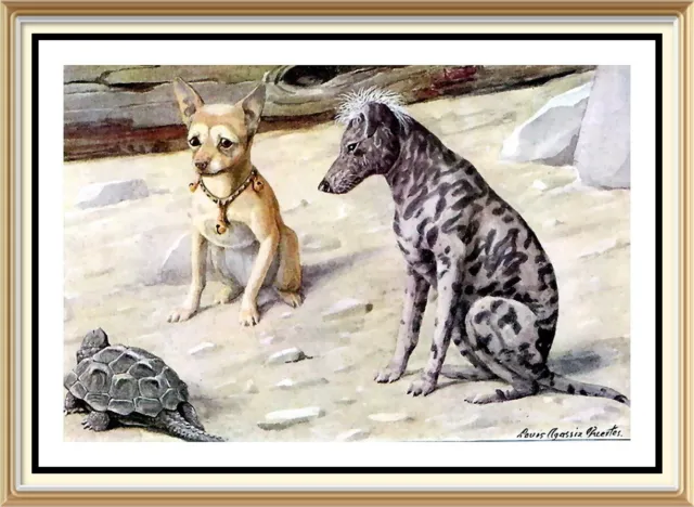 Kunstdruck Louis Agassiz Fuertes SCHILDKRÖTE beobachtet mexikanisches Rasse Spielzeug Hund CHIHUAHUA