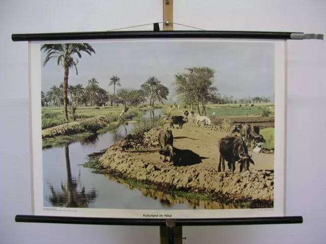 Schulwandbild schöne alte Wandkarte Kulturland im Nildelta 75x51cm vintage ~1960
