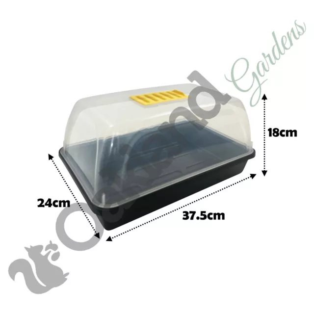 5 x 38cm Propagator Rigid Vented Cover Set Half Size Gravel Tray No Holes