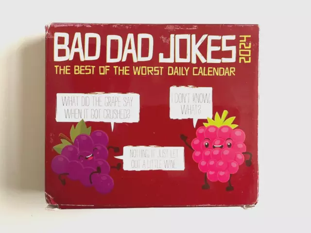 Willow Creek Bad Dad Jokes 2024 6.2" x 5.4" Box Calendar