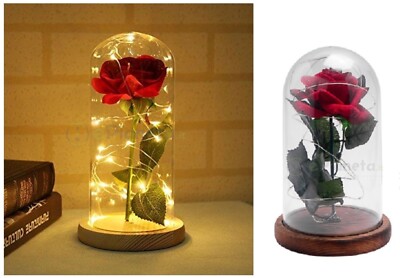 Eterna Incantata Rosa in Cupola di Vetro con Luci a LED Fiori Artificiali con Base Legno Regalo per Festa della Mamma della Valentino Anniversario di Matrimonio CGBOOM La Bella e La Bestia Rosa 