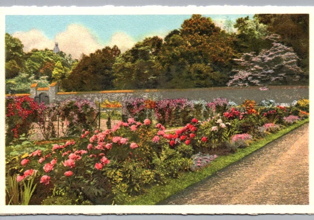 Biltmore Estate Postcard Walled Garden in May House & Gardens Asheville NC