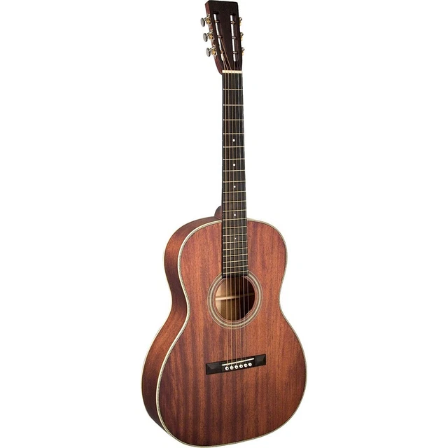 Recording king shop 12 fret