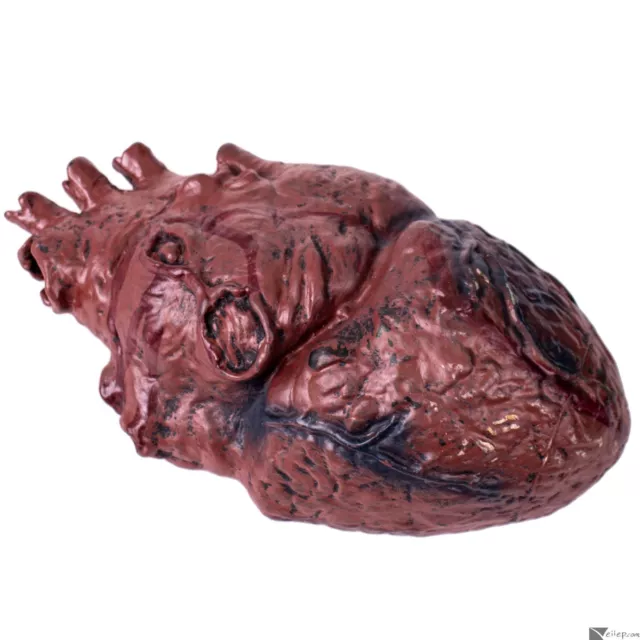 Bloody Heart Gory Deluxe Body Part Halloween 7.25" Decoration Prop, Dark Red