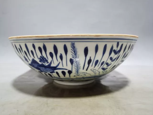 Old Chinese blue & white porcelain painted fish Algae bowl 8029