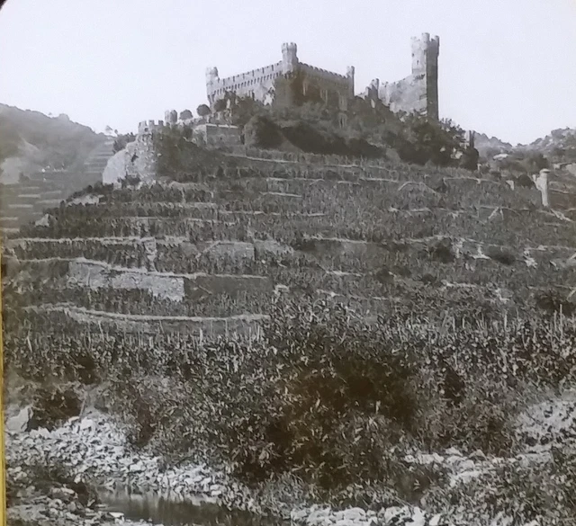 Reichenstein Castle (Falkenburg), Germany, Magic Lantern Glass Photo Slide