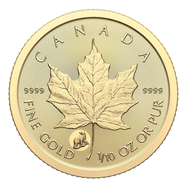 1/10 oz 2024 Treasured Maple Leaf Polar Bear Privy Mark Gold Coin - RCM