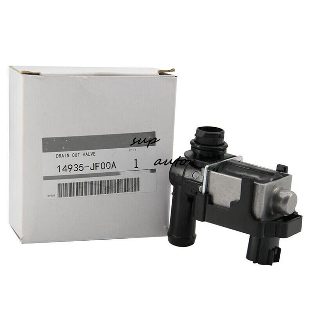 Evap Canister Purge Solenoid Valve