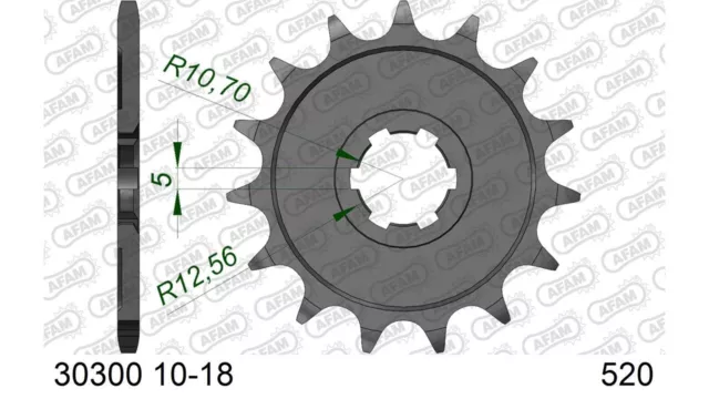 Ritzel AFAM 520 17Z