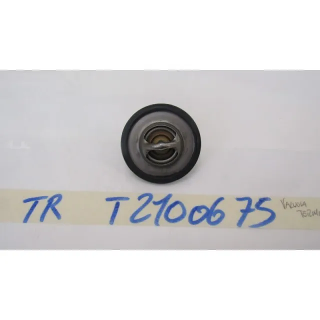 Ventil Thermostat Triumph Dreizack 660 21 23