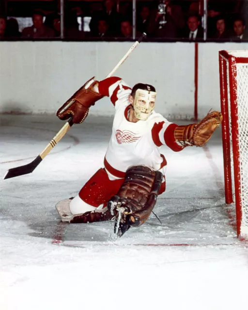 Terry Sawchuk - Wings, 8x10 Color Action Photo