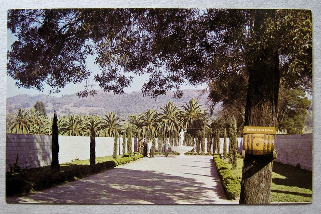 Asti California Winery Tour Bacchus Statue  Italian Swiss Colony Postcard