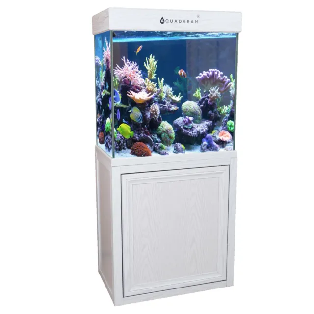 Aquarium 40 Gallon Tempered Glass with LED Light Complete Fish Tank White Oak