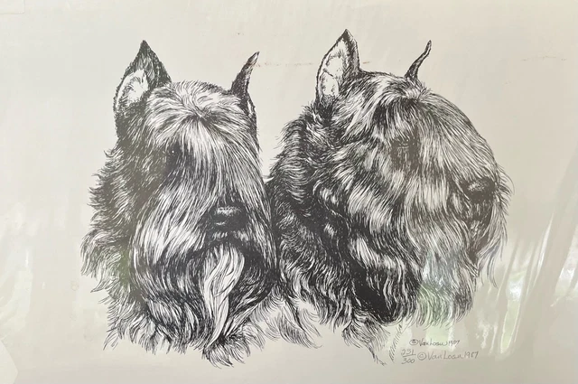Bouvier De Flandres Pair of Heads  11x17 Print By Van Loan