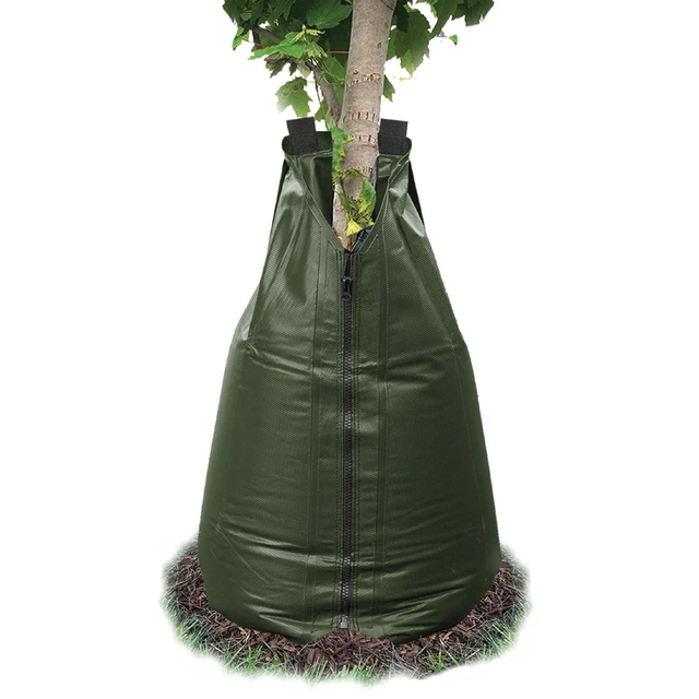 Luxus Wassersack Baum Lidl Bildnull