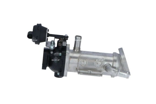 RADIATORE RICIRCOLO GAS di scarico macina per pianale Peugeot Expert V