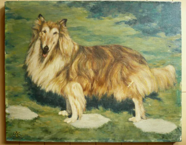 Scullin ? Beautiful Dog Portrait Collie Canine Collies Breed Study Impressionist