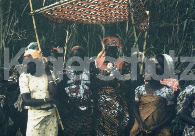 altes Foto Afrika Belgisch Kongo, Sonnenschutz, 1956, 10x15cm