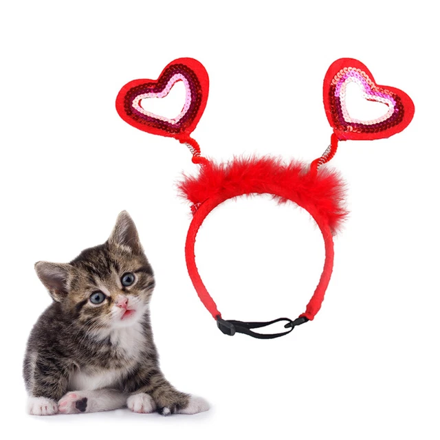 4 Stelle E Più - Forbici Per Toelettatura Per Cani - Foto 2