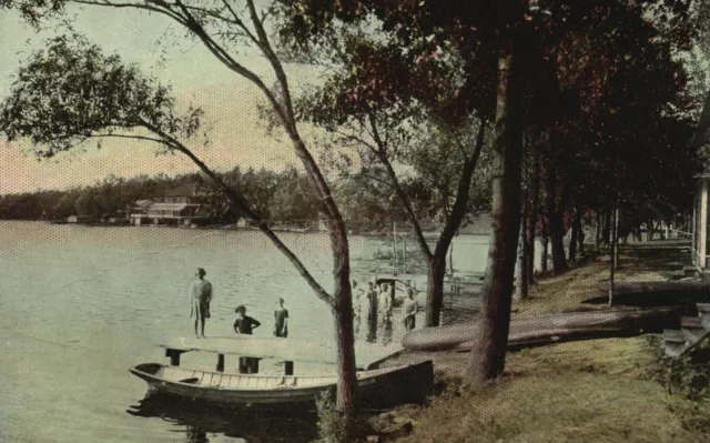 Postal De Colección 1912 Tamarack Sproul Bosque Estatal Condado de Clinton Penn PA